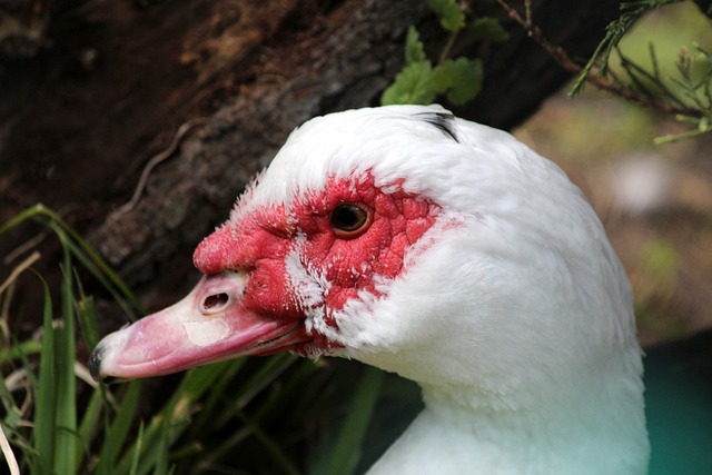 怪不得上海这么高兴，原来这家养老院条件这么好，价格还便宜！.