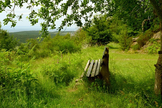 在于其制作 在于其制作