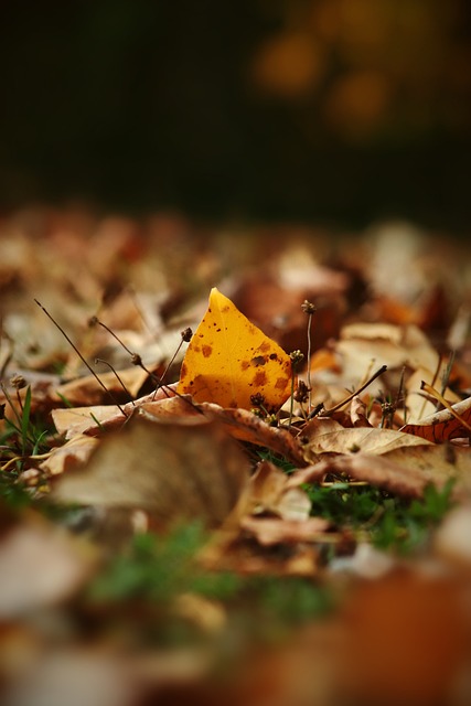 通过数据分 通过数据分