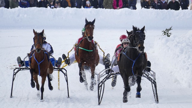 基礎設施建 基礎設施建