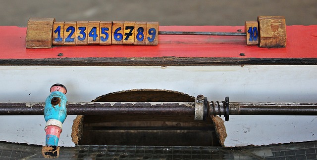 年轻球员的 年轻球员的