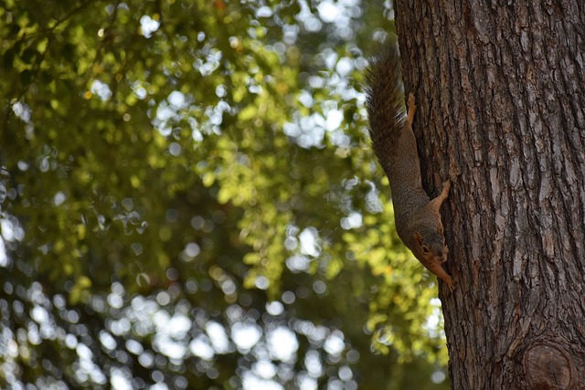 原来马刺新秀卡斯尔遭队友整蛊.