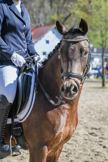 端的实力 端的实力