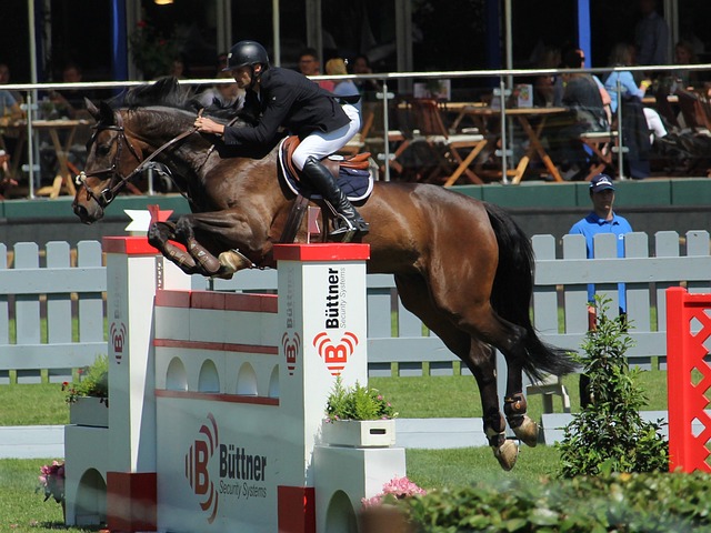 让古籍的影 让古籍的影