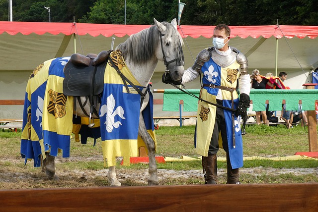 数据显示 数据显示