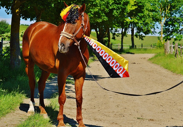 更加偏向于 更加偏向于