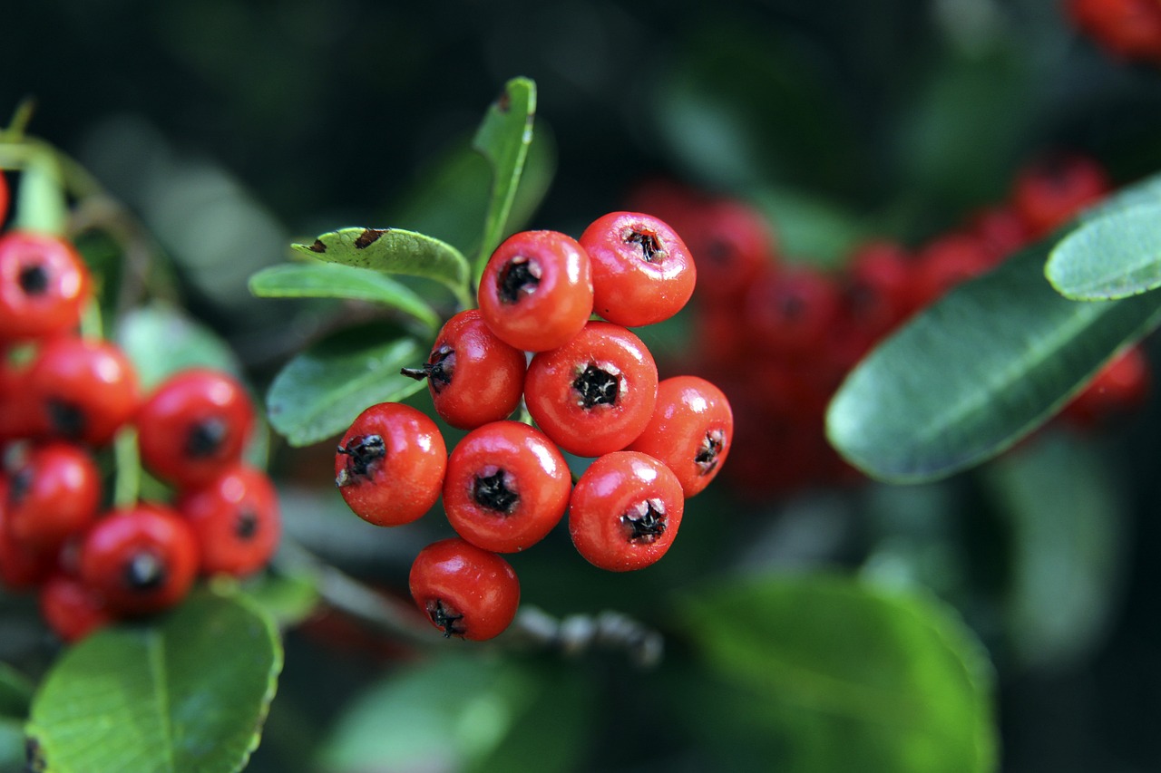 第四节成功 第四节成功